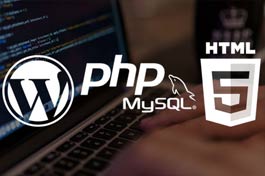 wordpres software application development