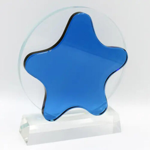 BLUE STAR AWARD | Vorson Giveaways