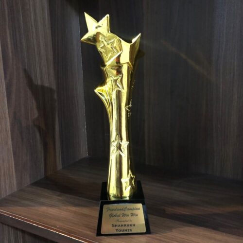 STAR ACHIEVEMENT TROPHY | Vorson Giveaways